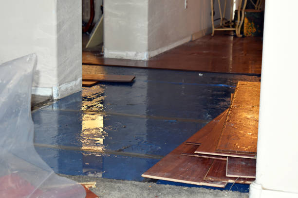 Professional Sewage Cleanup technician working in Yorkshire, OH